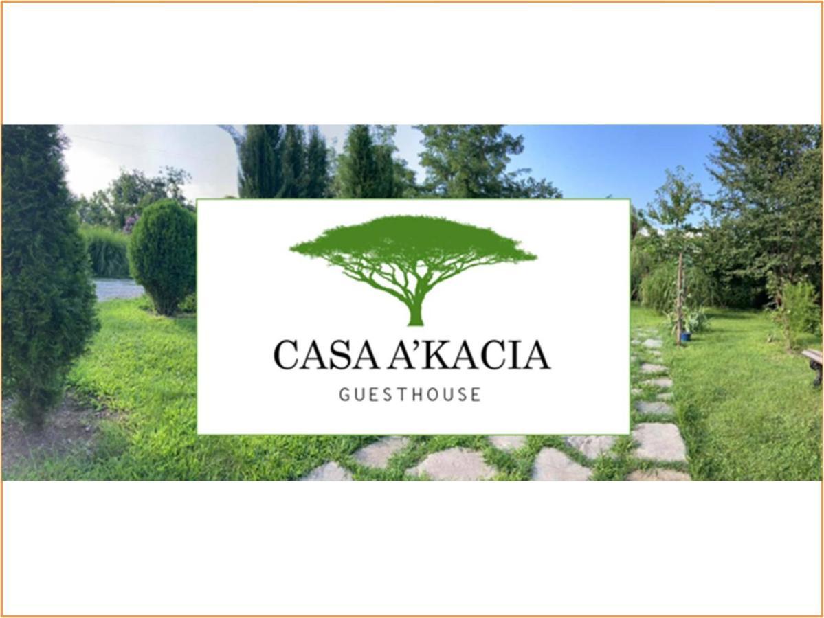 Отель Casa Akacia Телави Экстерьер фото
